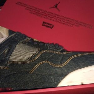 Air Jordan 4 levis